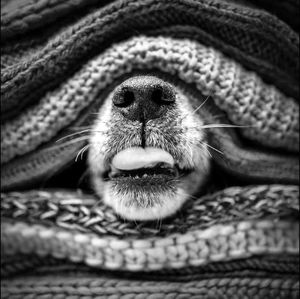 Meet your Posher, Arlene